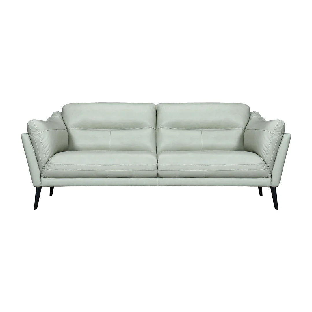 Franz Mint Leather Sofa